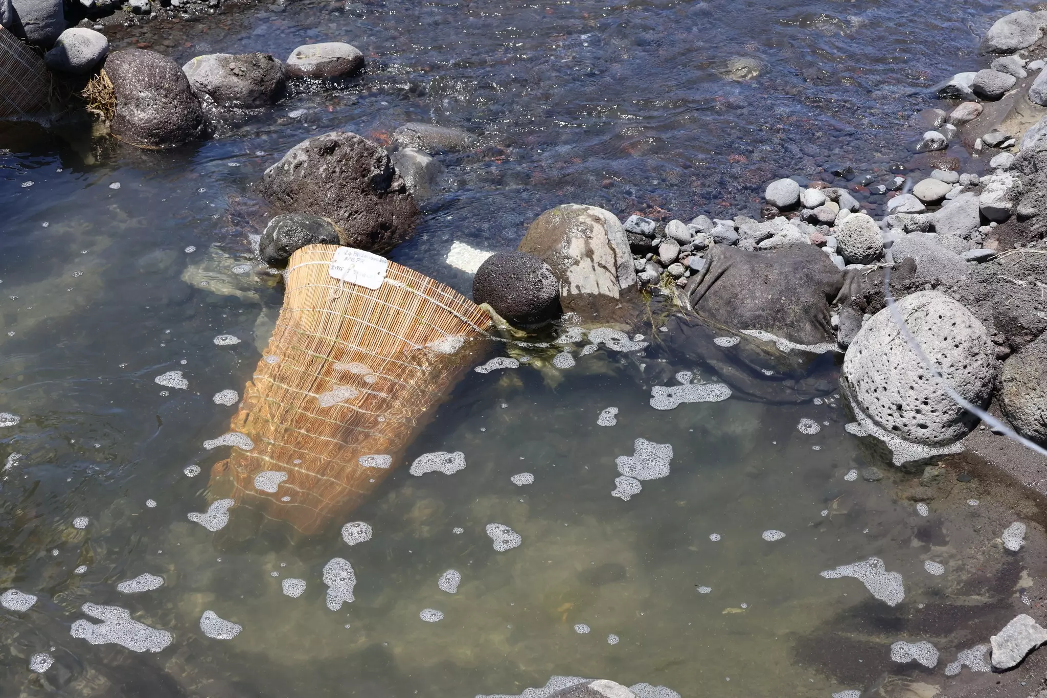 La Réunion : Contrôles renforcés sur la pêche aux bichiques, le "caviar pei"