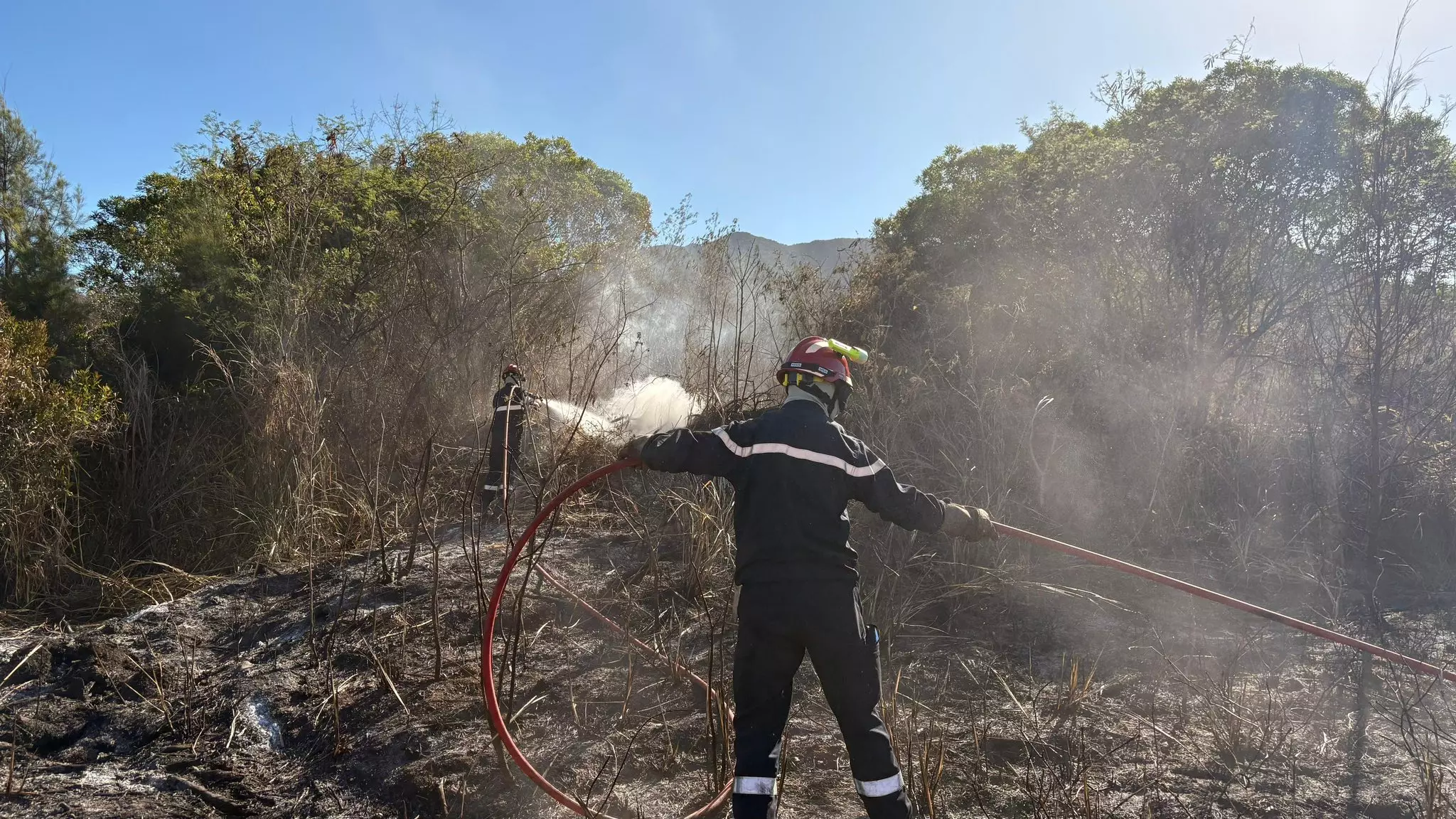 Quarante militaires envoyés en renfort en Nouvelle-Calédonie, touchée par d'importants feux de forêt