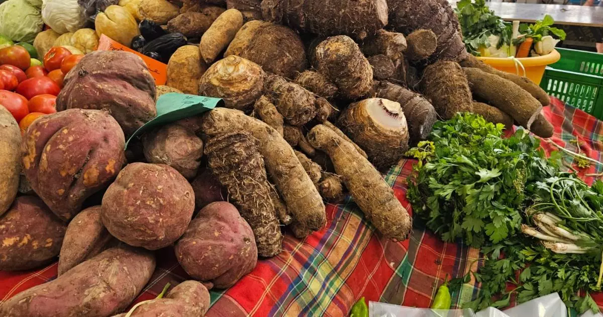 Chlordécone : En Guadeloupe, des contrôles renforcés pour garantir la sécurité sanitaire