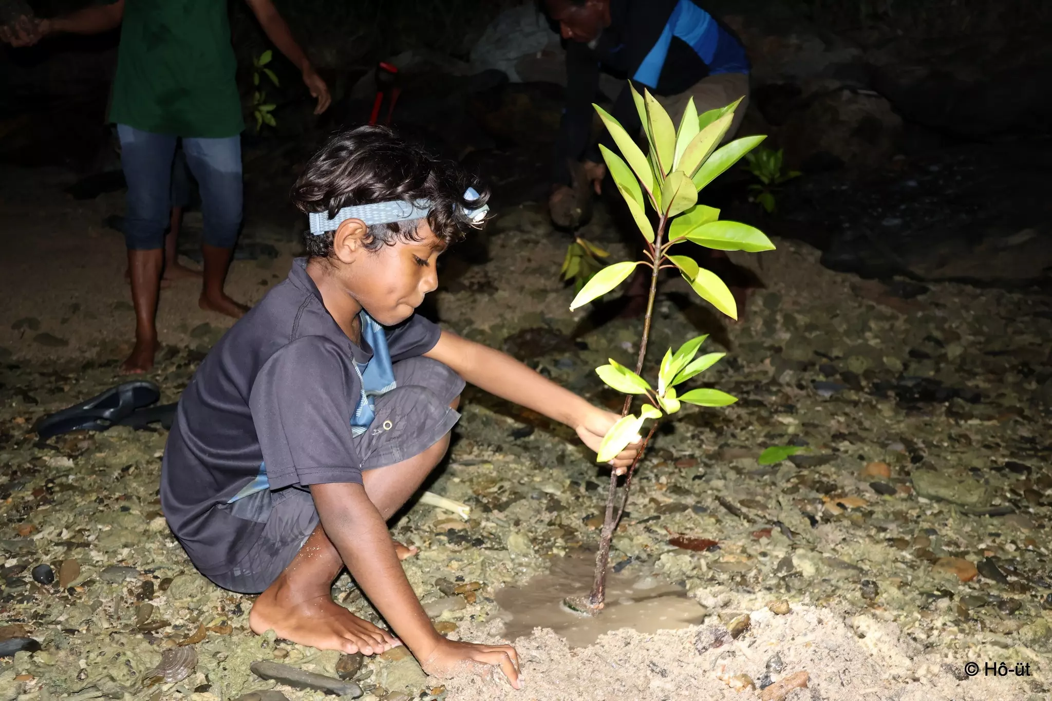 Nouvelle-Calédonie : À Touho, l’association Hô-üt plante 2.000 palétuviers pour lutter contre l’érosion