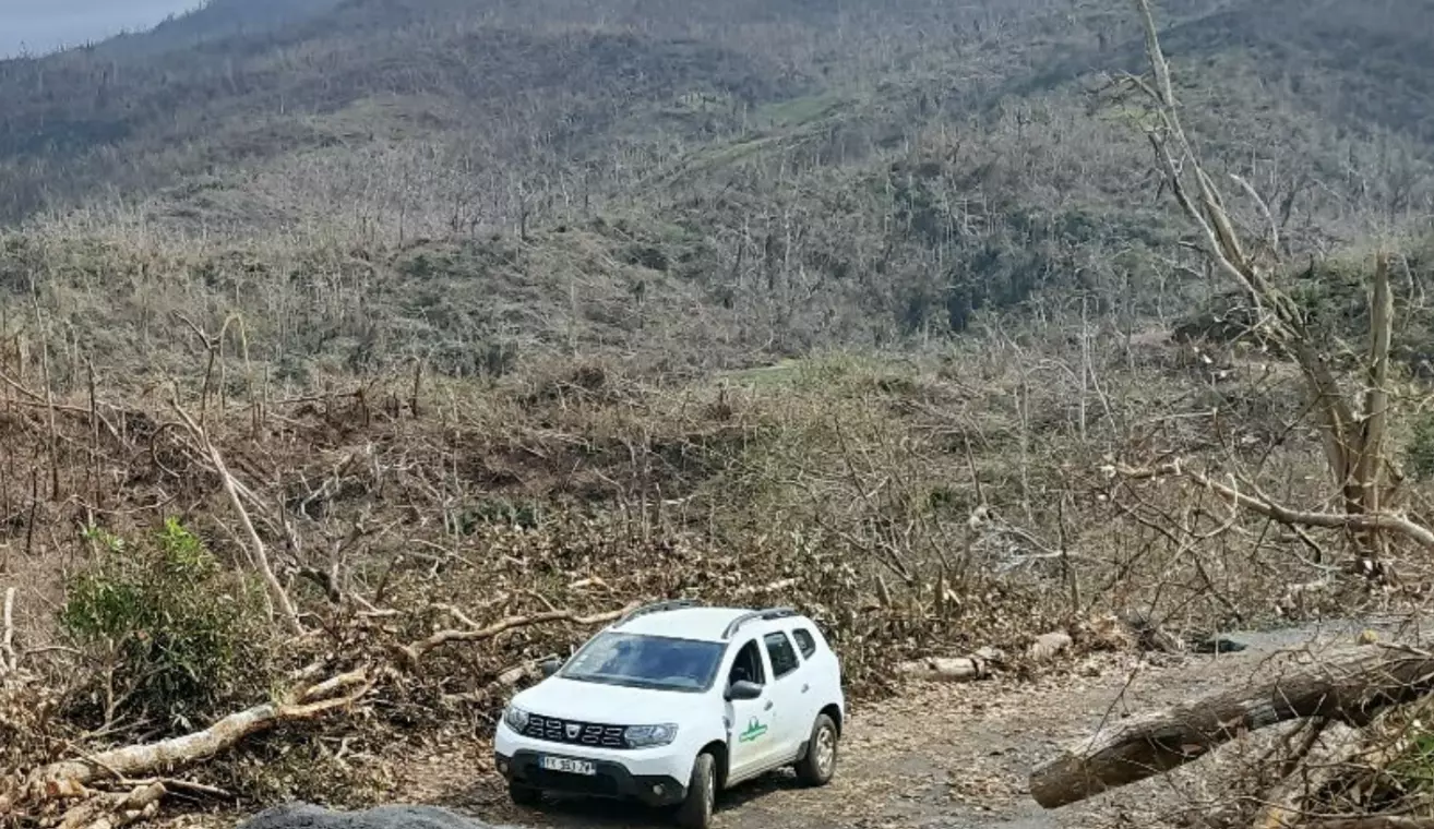 Mayotte : Un an après le cyclone Chido, l’ONF dresse un état des lieux et renforce la restauration des forêts mahoraises