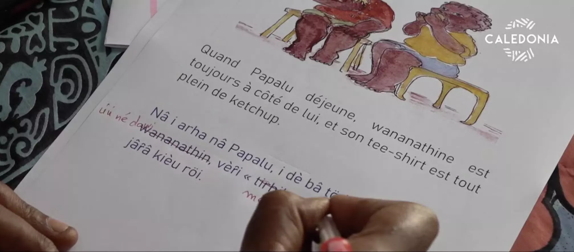 Nouvelle-Calédonie : L’Académie des langues kanak, avec l'appui de la Province Sud, met en place des outils pédagogiques pour préserver la langue ‘ôr̂ôê