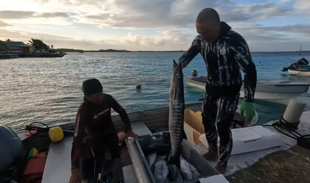 Polynésie : A Manihi, le Rahui a redonné vie au lagon