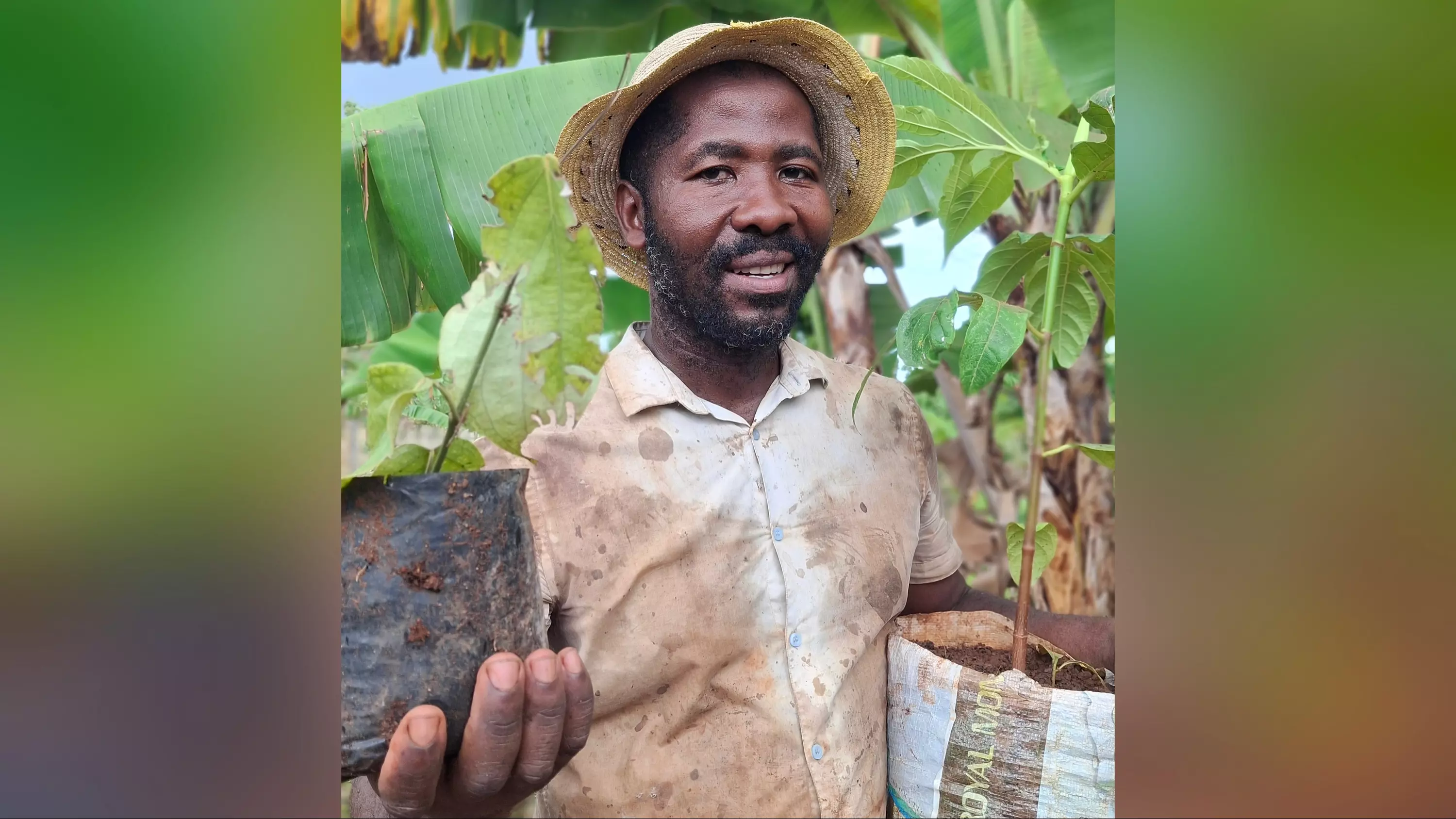 À Mayotte, l’exploitant agricole Anfane Said cultive Zatru Mila, une révolution verte et enracinée