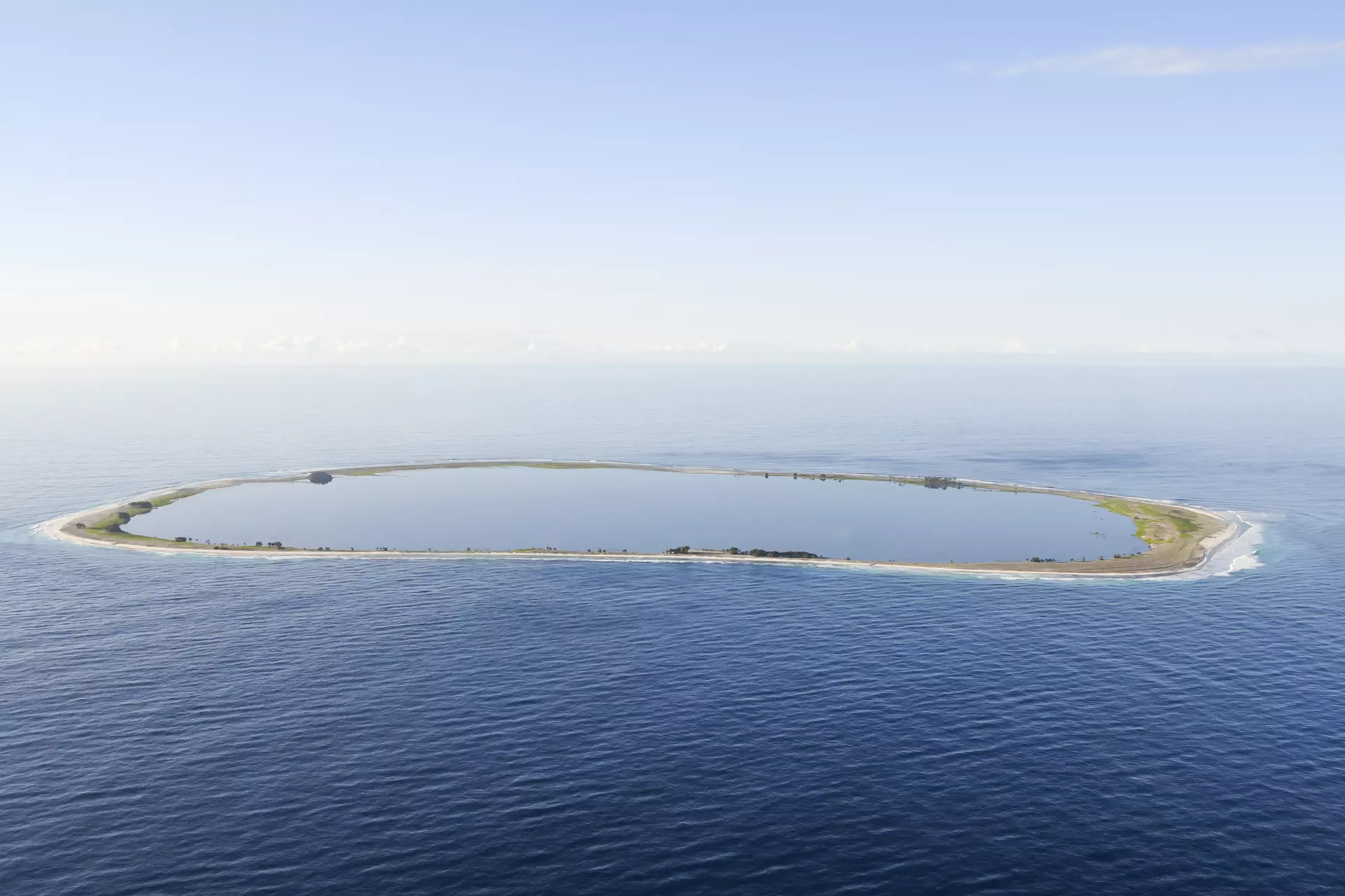 Biodiversité : la LPO alerte sur « l'urgence » d'éradiquer les rats à Clipperton