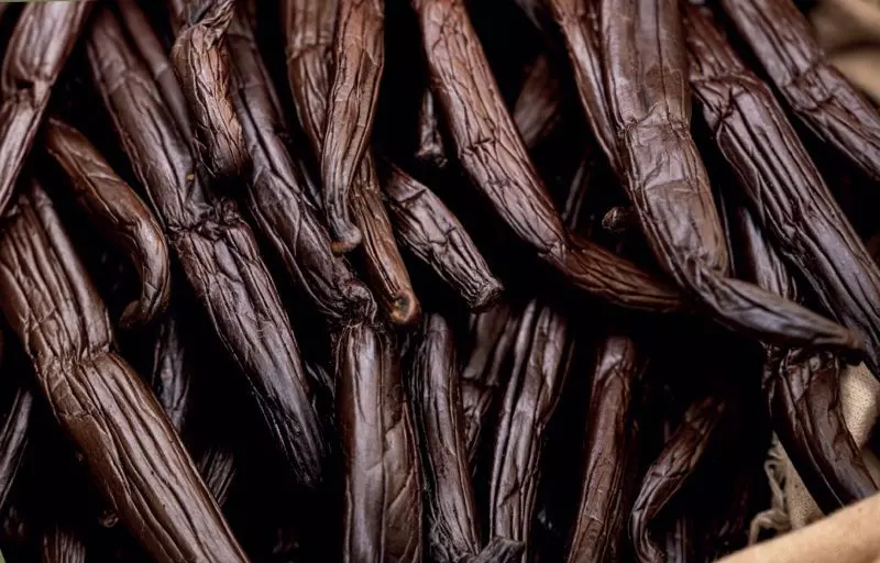 Vanille de Tahiti : l'IGP passe bientôt en enquête publique