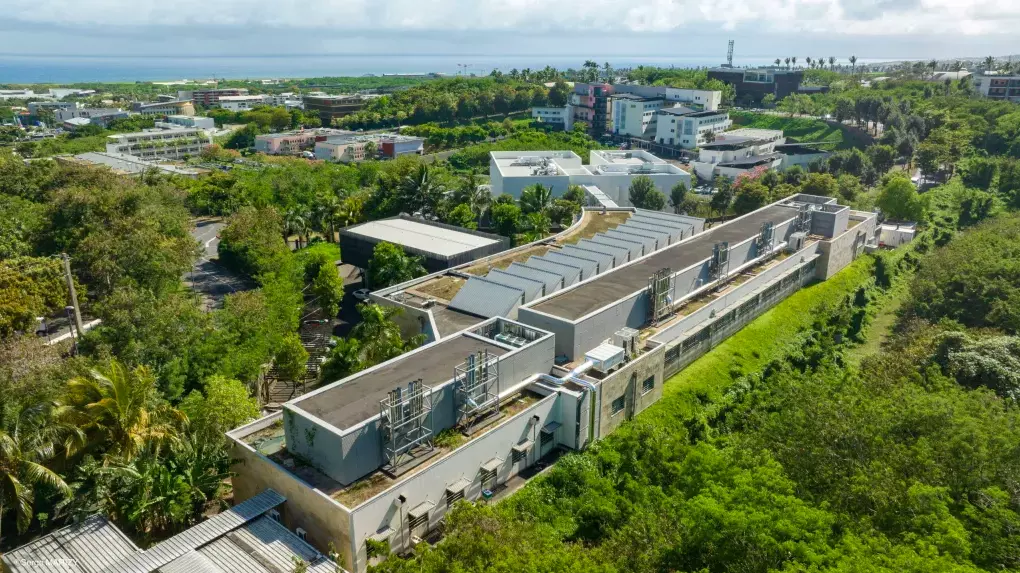 Lancement officiel du projet européen FOCUS-4R à La Réunion, Madère et les Canaries : un tournant de la recherche biomédicale pour les RUP