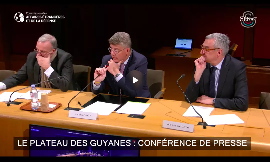 Plateau des Guyanes : Face à l’orpaillage illégal, aux appétits de la Chine et des États-Unis, la France doit développer sa coopération régionale, estime un rapport sénatorial