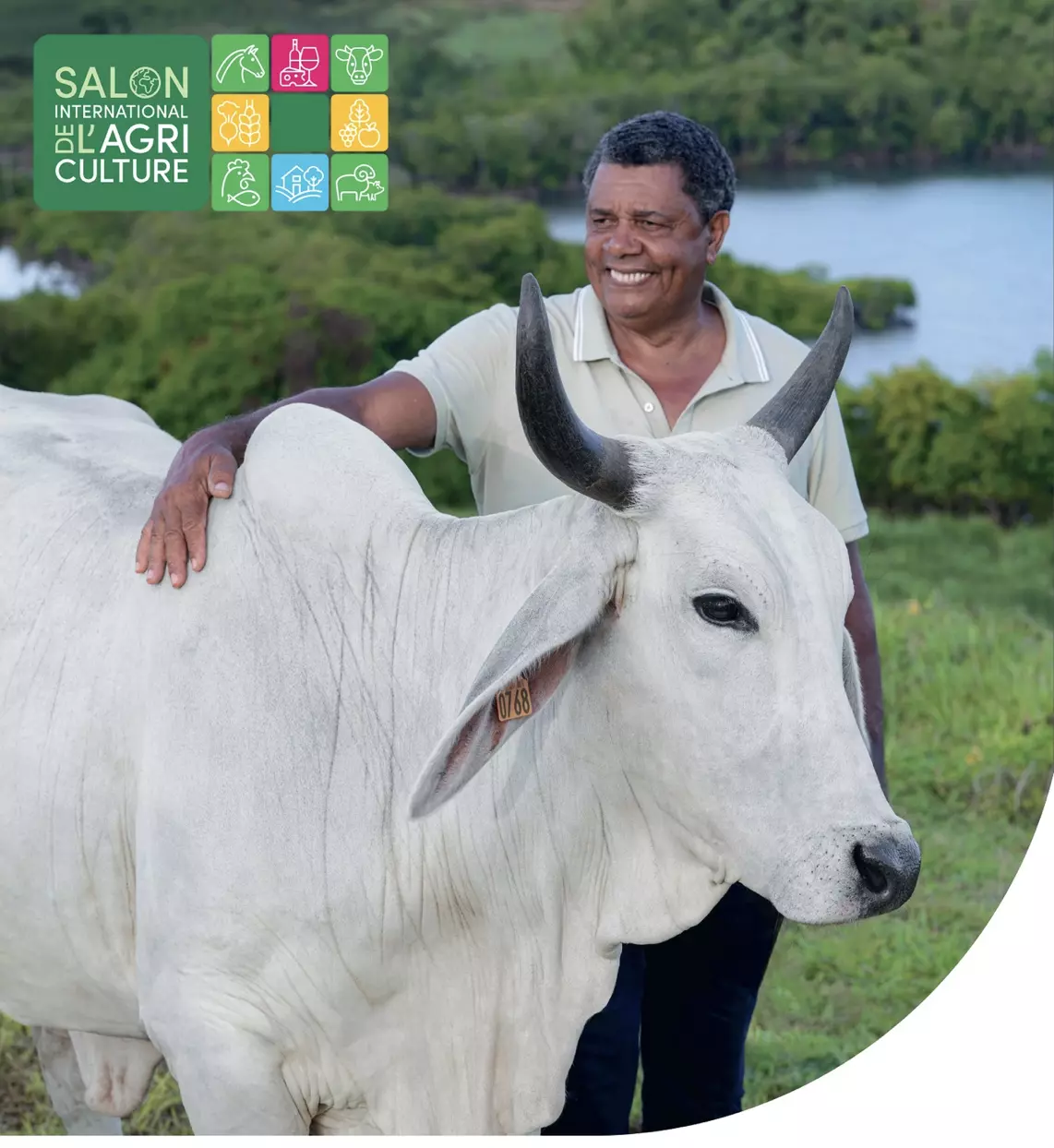 Salon de l'Agriculture 2026 : Une édition sans la vache martiniquaise «Biguine» et sans bovins, mais maintenue par solidarité