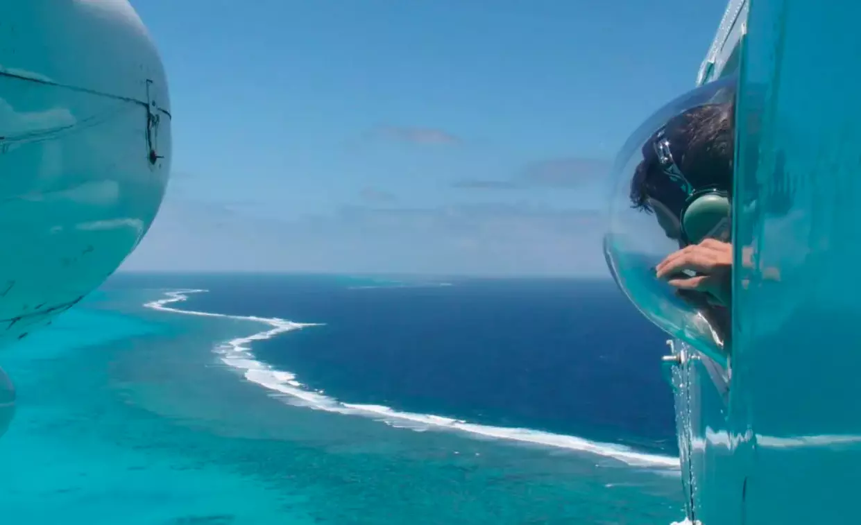 Polynésie : lancement d'une vaste campagne d'observation aérienne des grandes espèces marines