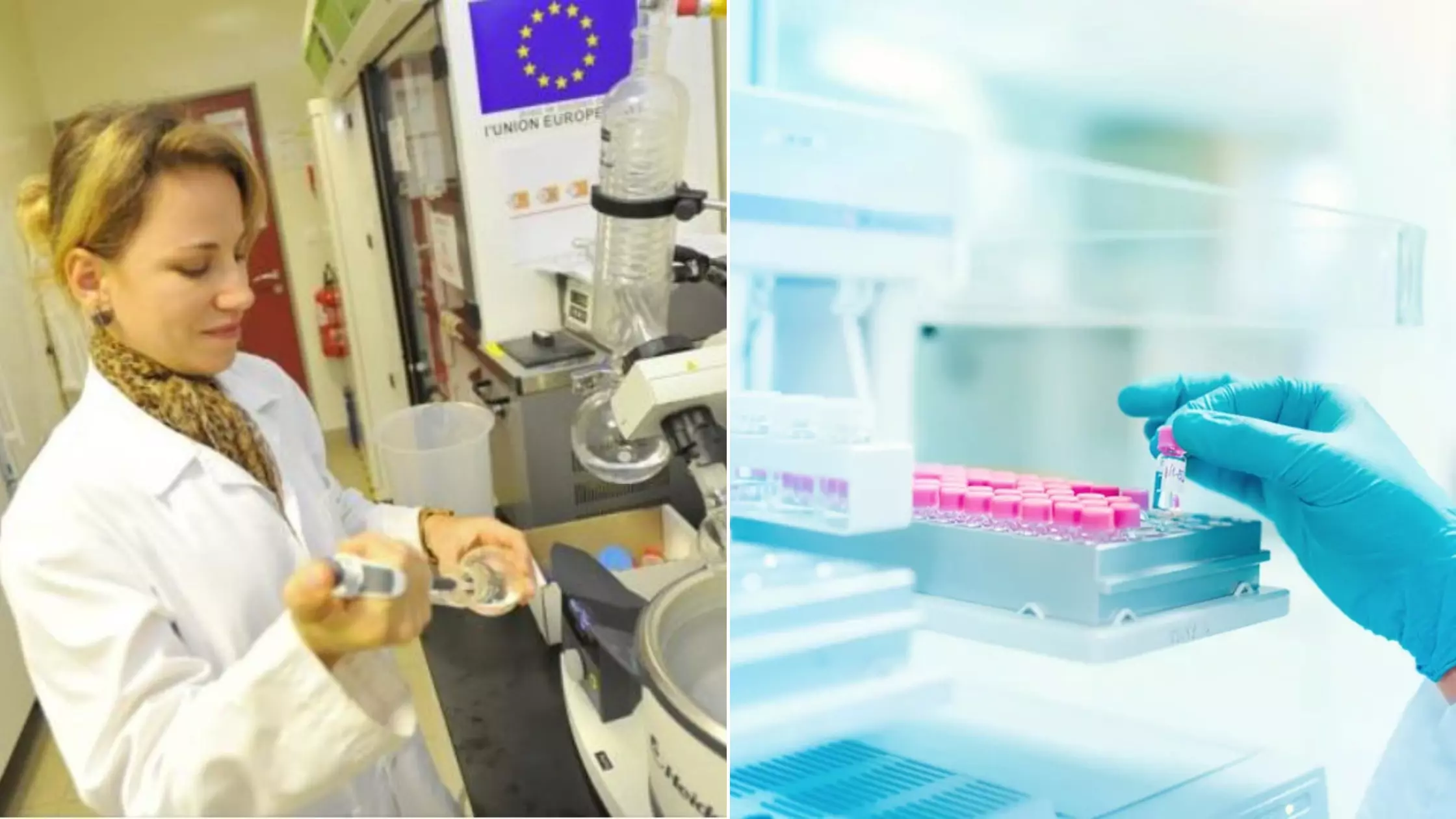 INFO Outremers360. Torskal et Laboratoire Bourbon autorisés à lancer des essais cliniques sur l'humain en Nouvelle-Zélande pour une thérapie innovante contre le cancer cutané