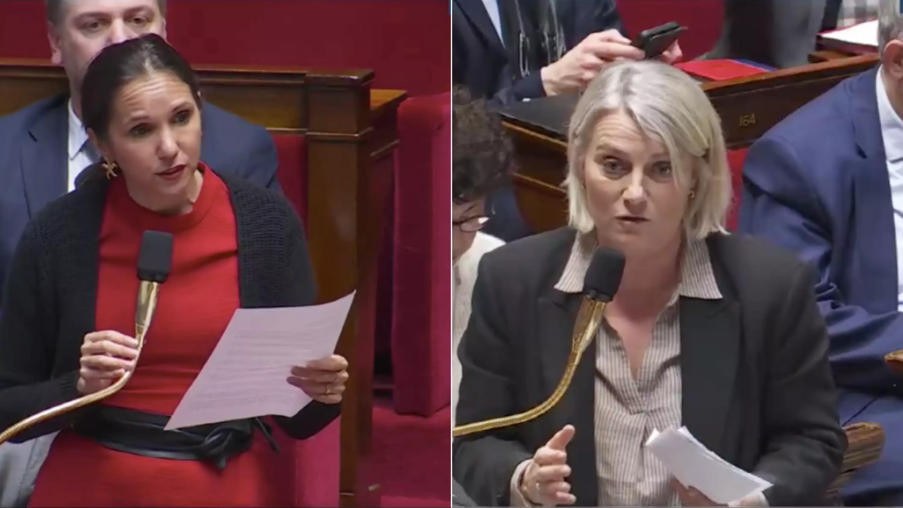 mpox à La Réunion : la Ministre de la Santé Stéphanie Rist veut rassurer et souligne les mesures pour éviter une épidémie