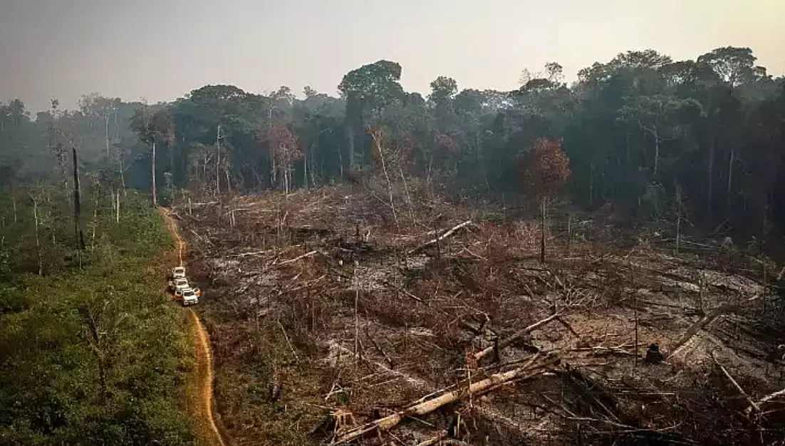 Amazonie - Guyane : les enjeux sécuritaires des bouleversements climatiques et de la déforestation