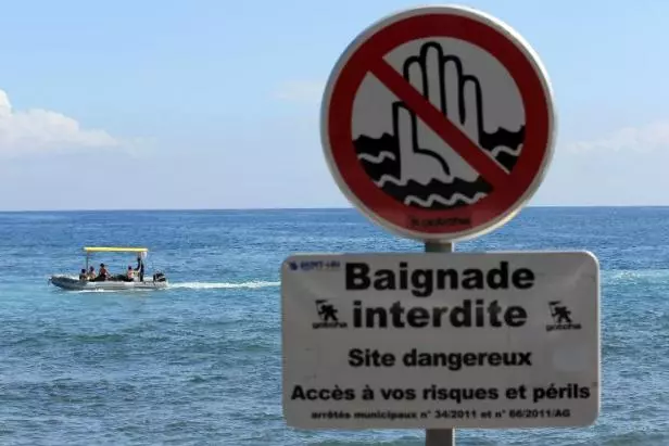 La Réunion : Renforcement de la Surveillance face au Risque Requin