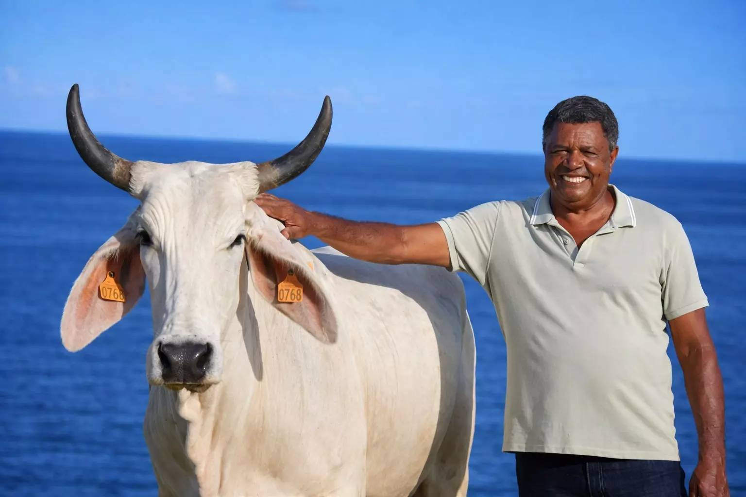 SIA 2026 : Gestante, Biguine la vache martiniquaise, égérie absente du Salon, pourrait revenir l’an prochain avec son veau