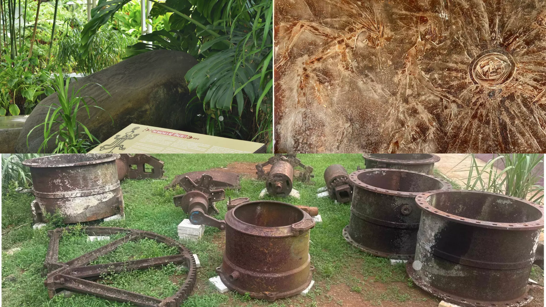 Le brûlage de Khokho René-Corail en Martinique, la machinerie d’usine sucrière à Mayotte et le Pétroglyphe Polynésien à Tahiti, les trois œuvres lauréates pour les outre-mer du concours national du «&nbsp;Plus Grand Musée de France&nbsp;» 2026