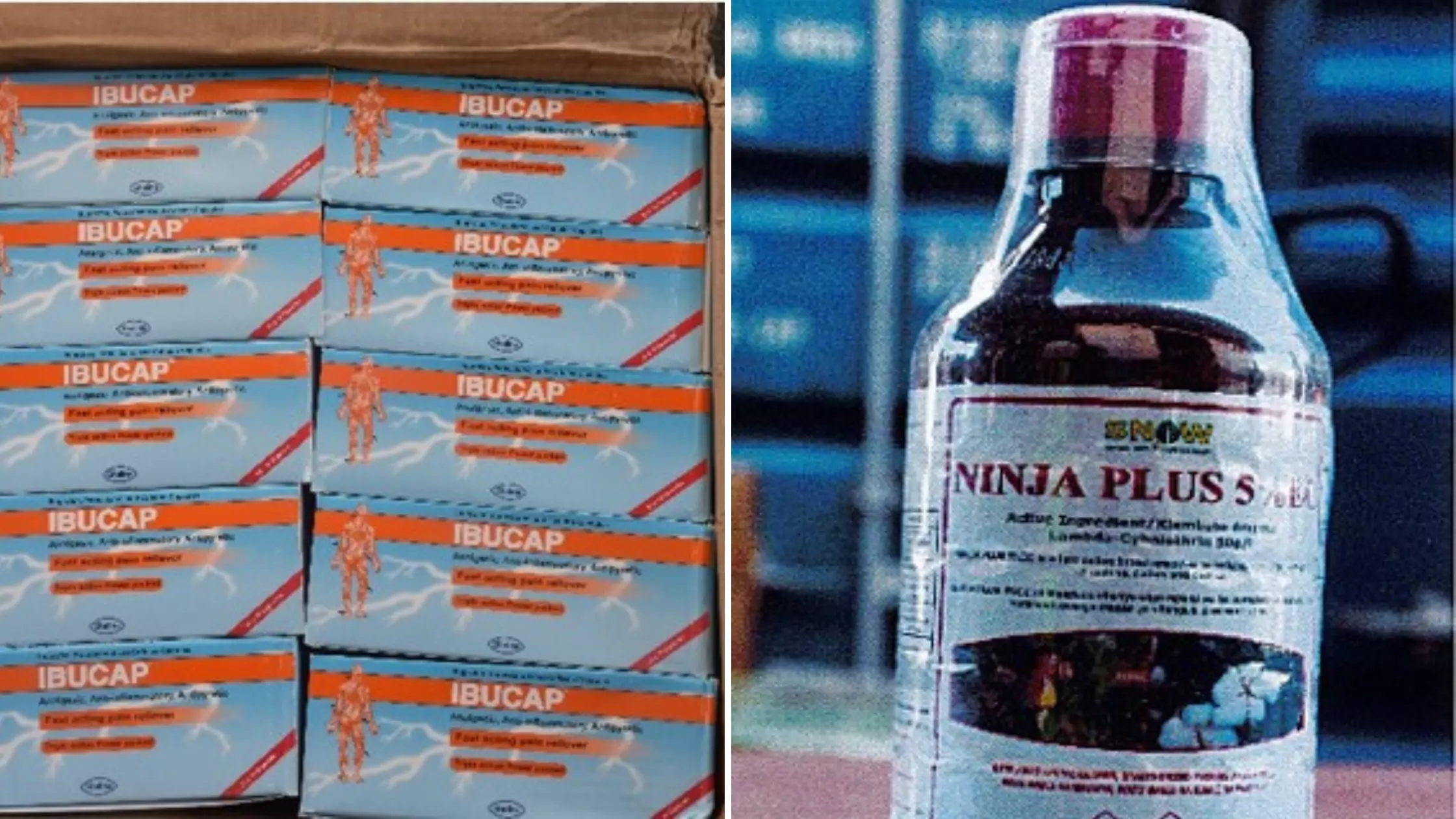Mayotte: six interpellations dans un trafic d'insecticides et de médicaments illégaux