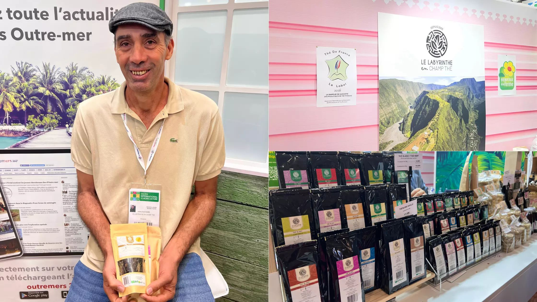 La Réunion : Le thé réunionnais du Labyrinthe en Champ Thé, premier thé français à obtenir la marque de garantie « Thé de France»