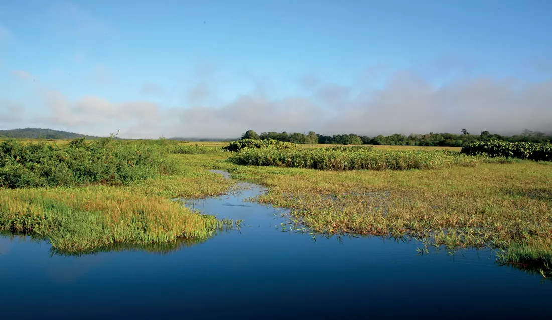 Quatrième Plan national milieux humides : focus sur la stratégie Outre-mer, qui nécessite des actions rapides