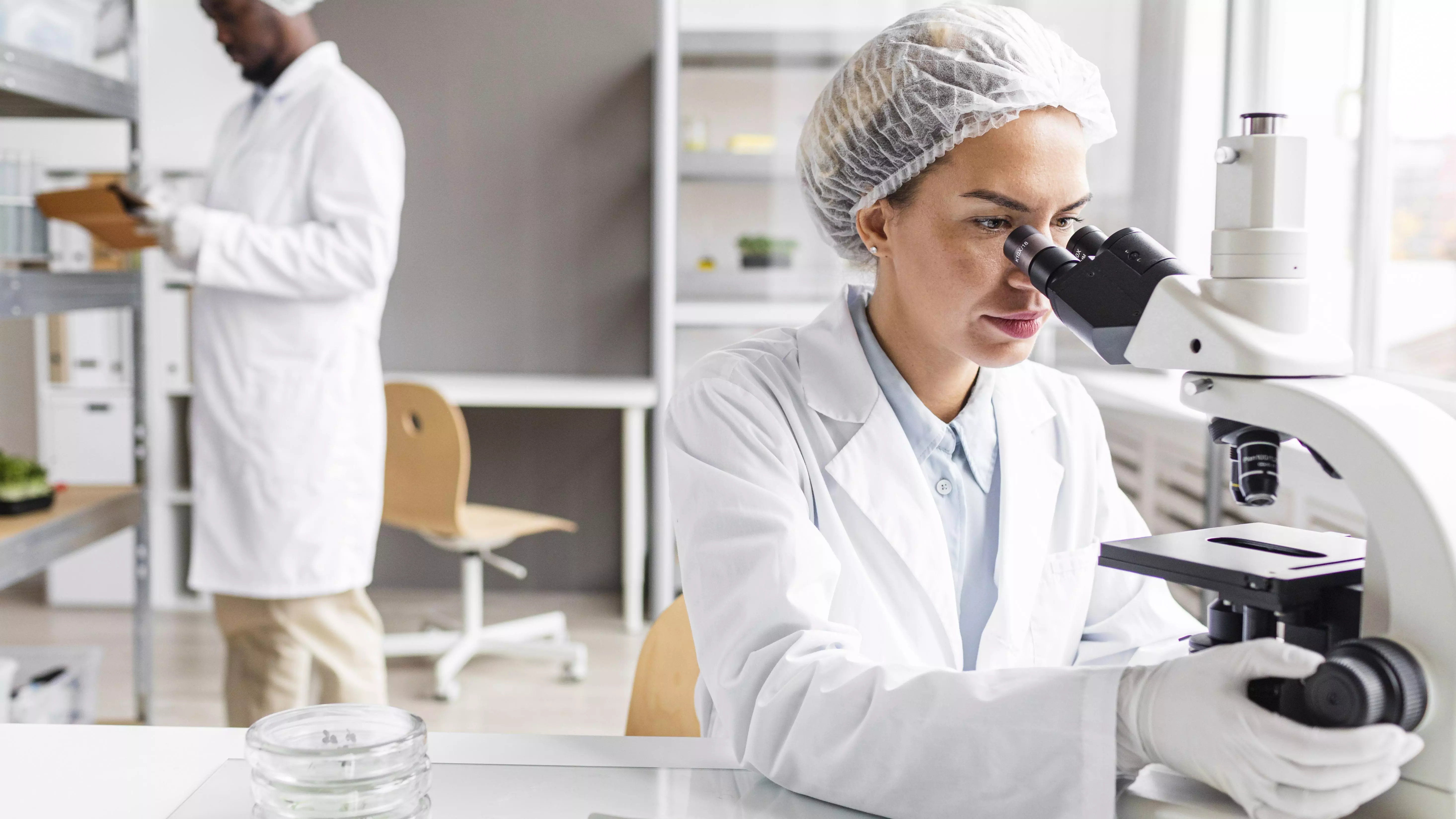 L’Agence nationale de la recherche lance un appel « Tremplin Outre-mer » pour attirer de jeunes chercheurs sur les territoires ultramarins