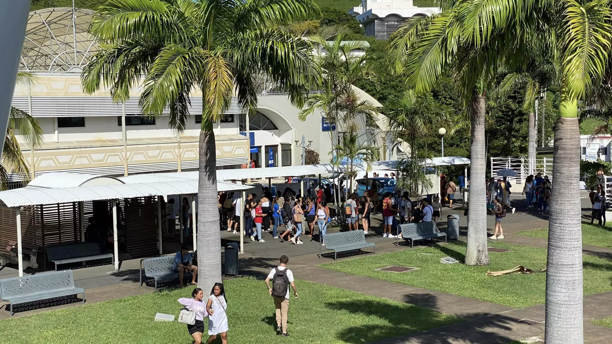 Enseignement supérieur : 700 diplômés en 2025 et 2 695 inscrits en 2026 à l’Université de la Nouvelle-Calédonie