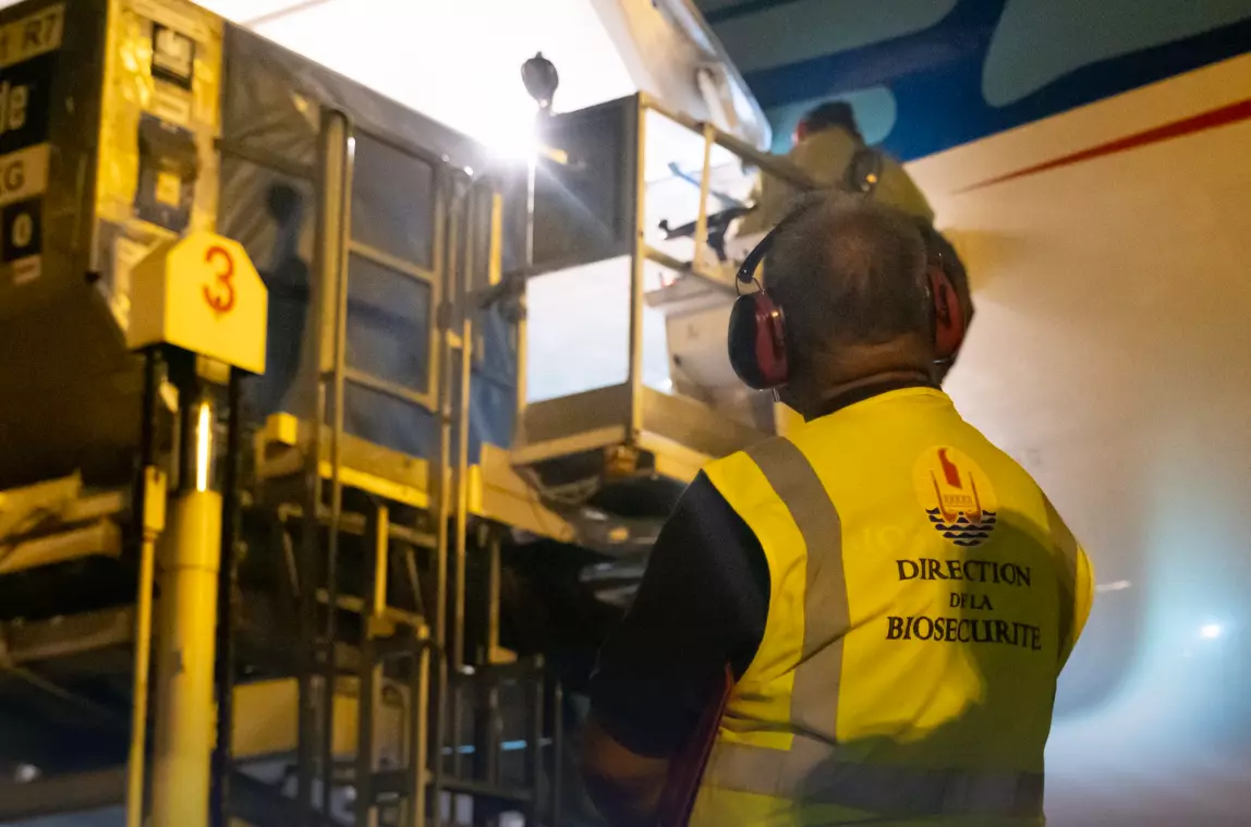 Polynésie : Contrôles bio-sécuritaires renforcés pour les navires et avions entrant sur le territoire