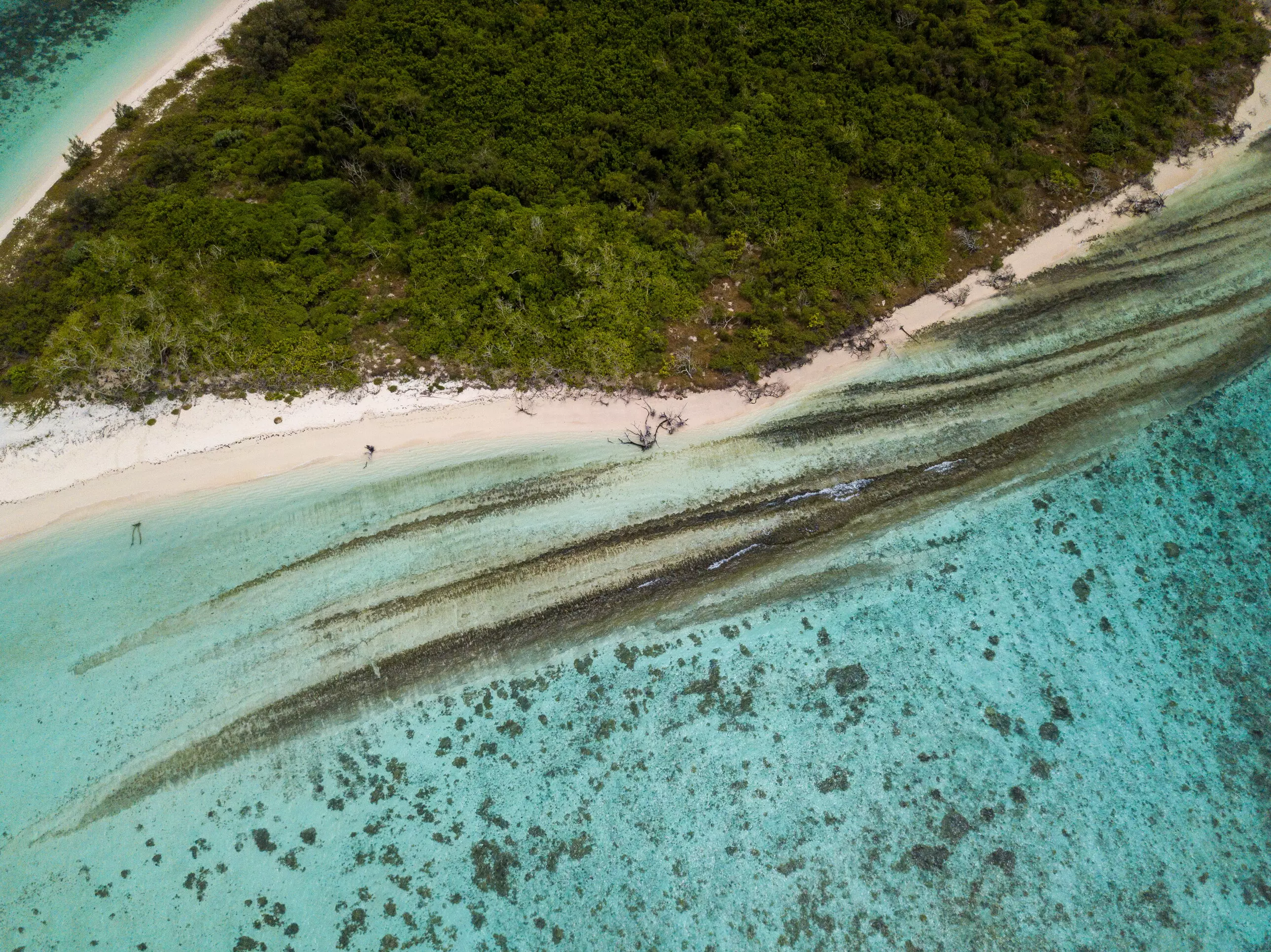 Dans les Outre-mer, un vaste programme de recherche pour lutter contre les pollutions agricoles, minières et urbaines mobilise 200 chercheurs
