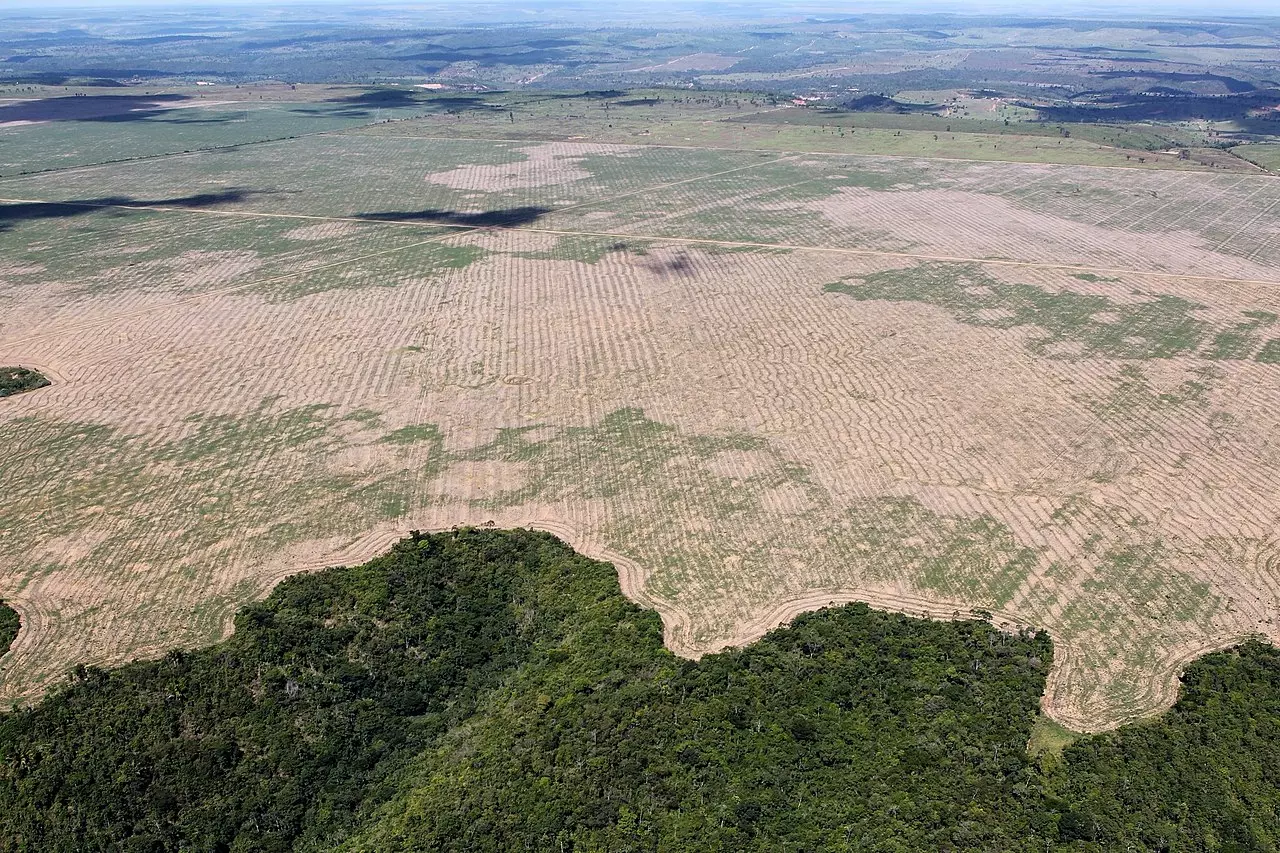 Brésil : la lutte contre la déforestation au cœur du nouveau plan sur le climat