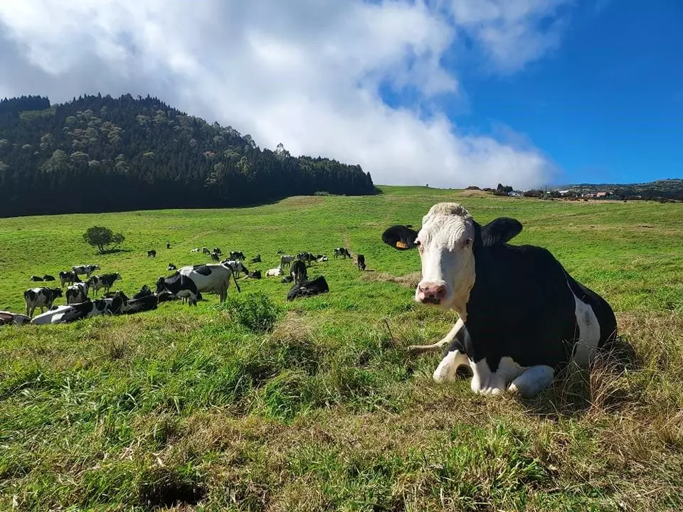 La Réunion : TERRACOOP présente un « plan de redressement ambitieux et pacificateur » pour l’avenir de SOFICOOP et de la filière agricole
