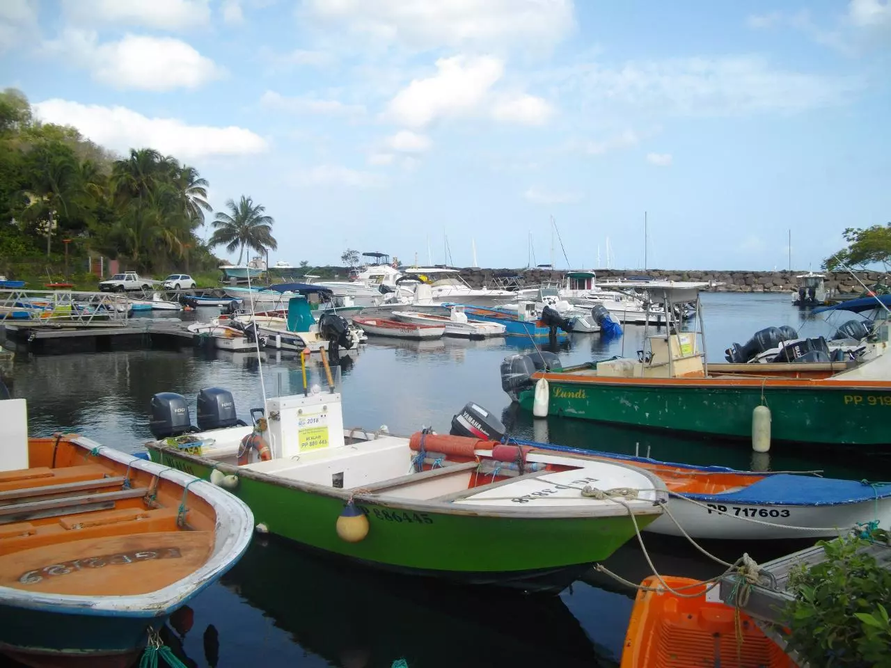 Pêche en Outre-mer : La Commission européenne ouvre la voie au renouvellement de 16 catégories de navires