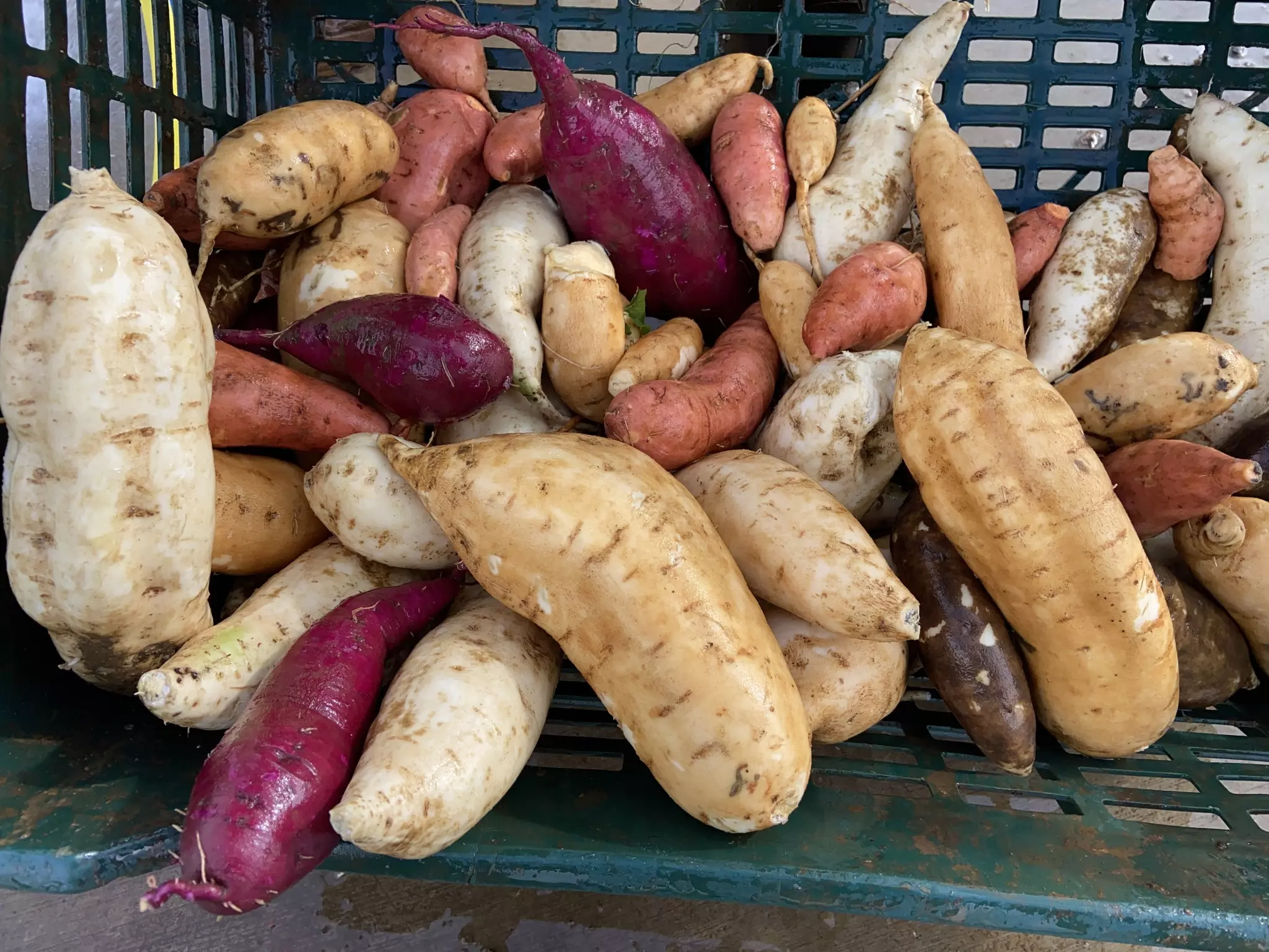 Agriculture : À La Réunion, la lente reconquête de l'autonomie alimentaire