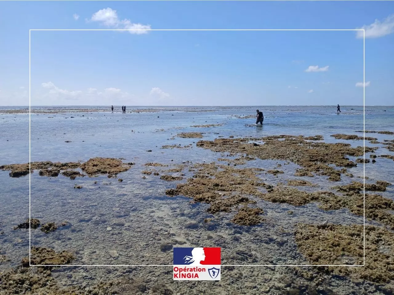 À Mayotte, des drones pour renforcer les contrôles et lutter contre la pêche illégale