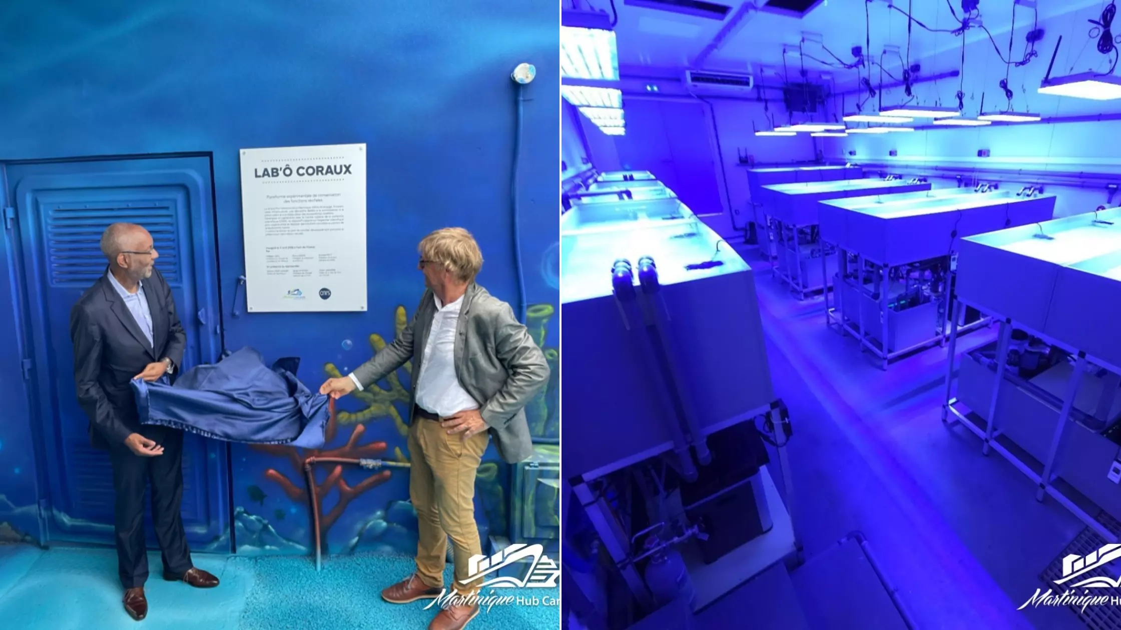 Le Grand Port Maritime de la Martinique lance "LAB’O CORAUX" au service de la protection des récifs