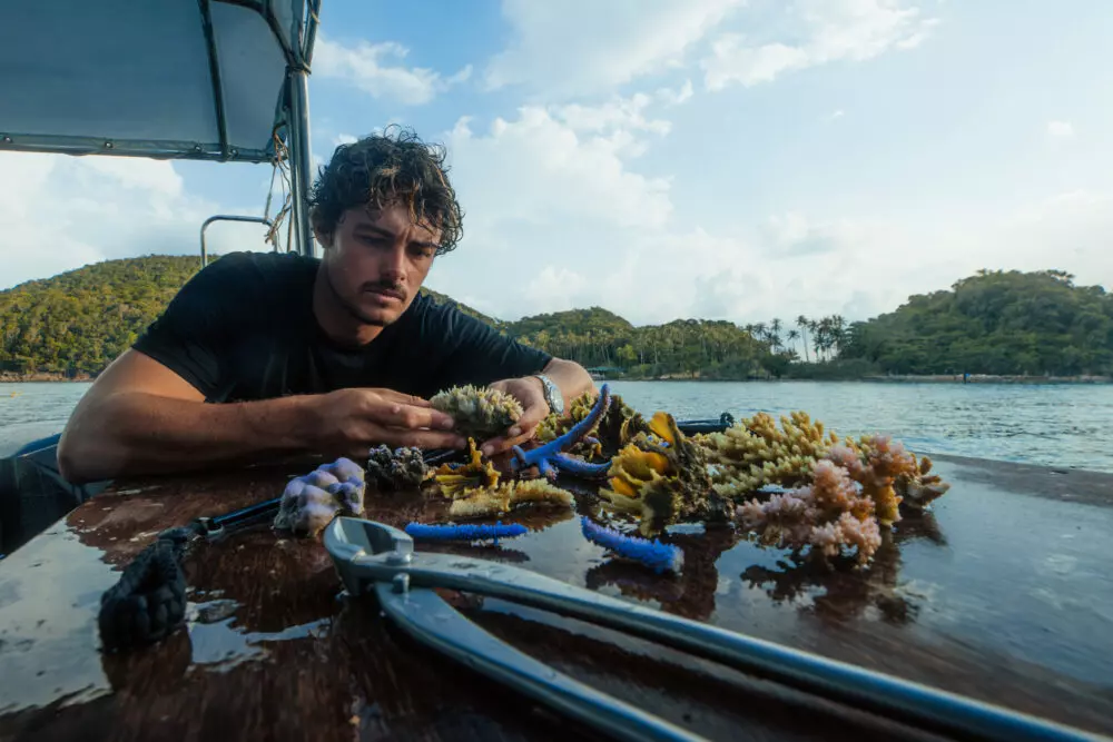 Polynésie : Titouan Bernicot, fondateur de Coral Gardeners, parmi les « 30 Under 30 Europe » de Forbes