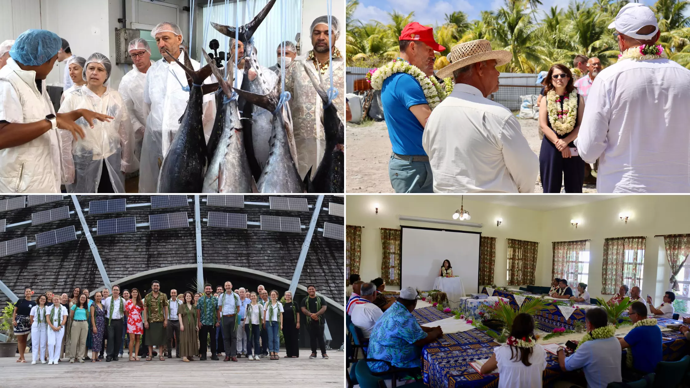 Polynésie : L’État doit être « au rendez-vous » en temps de crise, rappelle la directrice générale des Outre-mer Anne-Gaëlle Baudouin