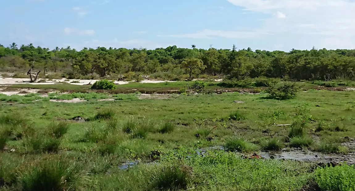 Face à l’urgence climatique, les sociétés ultramarines pourraient être profondément déstabilisées, selon le Haut Conseil pour le climat