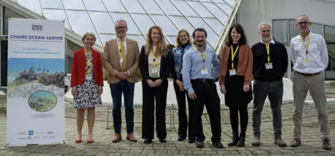 Lancement de la chaire OCEAN-LEAVES : Une mobilisation scientifique majeure pour sauver les herbiers marins tropicaux français
