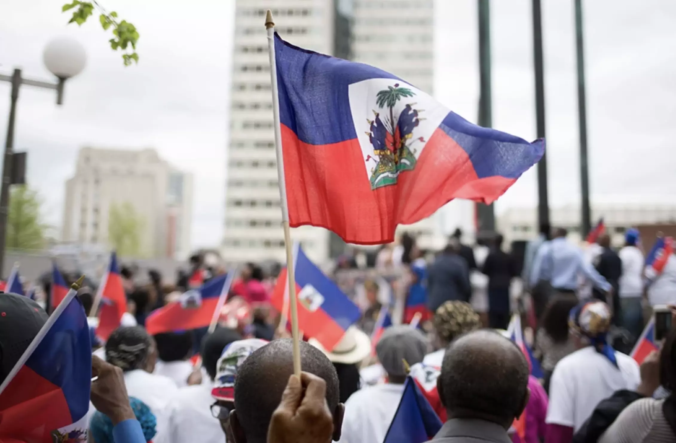 TRIBUNE. « N'oublions pas Haïti» par les sénateurs du groupe d'amitié France-Caraïbes et de la délégation sénatoriale aux Outre-mer