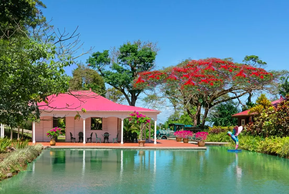 Guadeloupe : Le jardin de Valombreuse récompensé au prix national de l’Art du jardin 2026