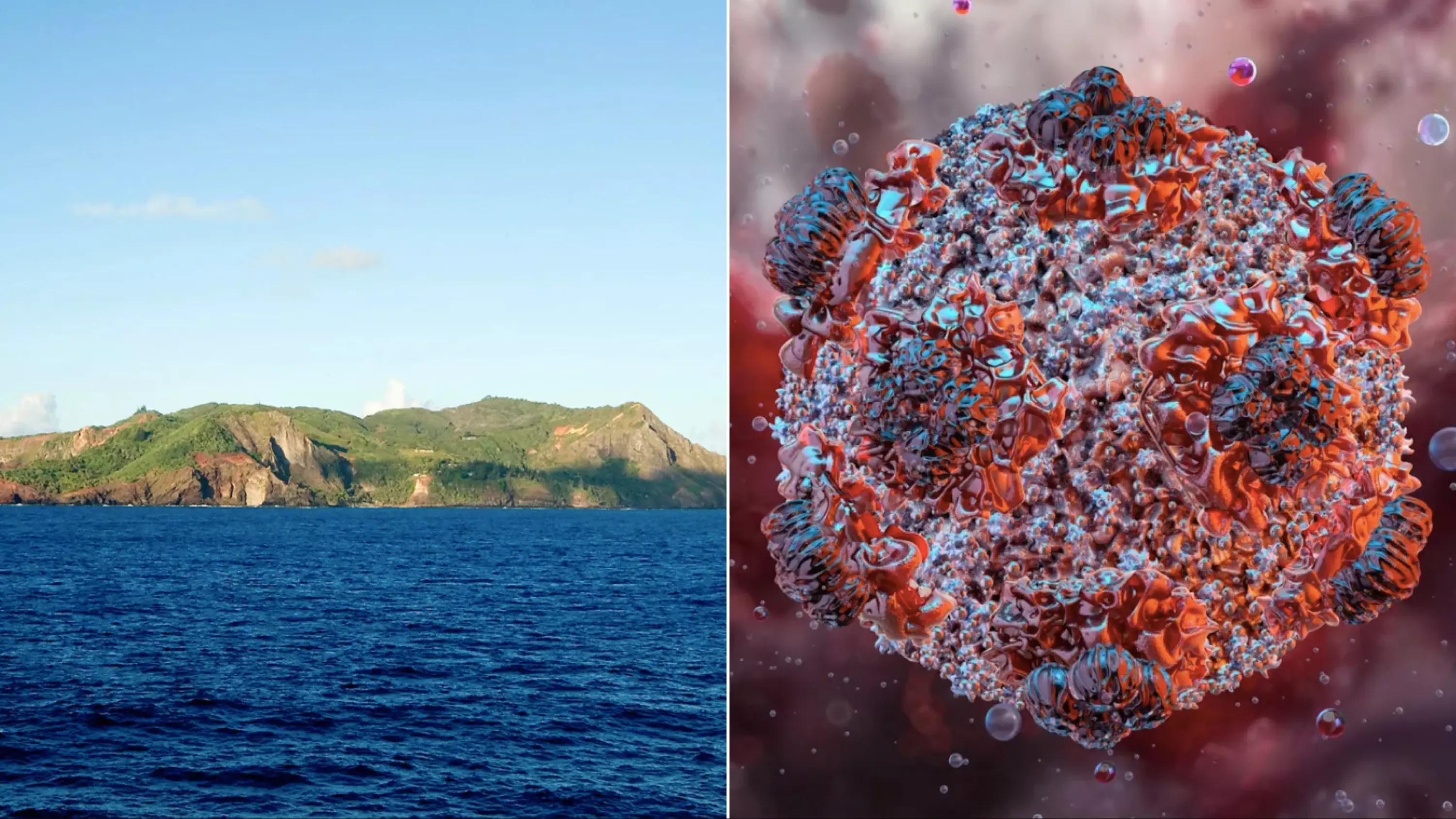 En quarantaine à Pitcairn, un cas d’hantavirus a transité par la Polynésie française