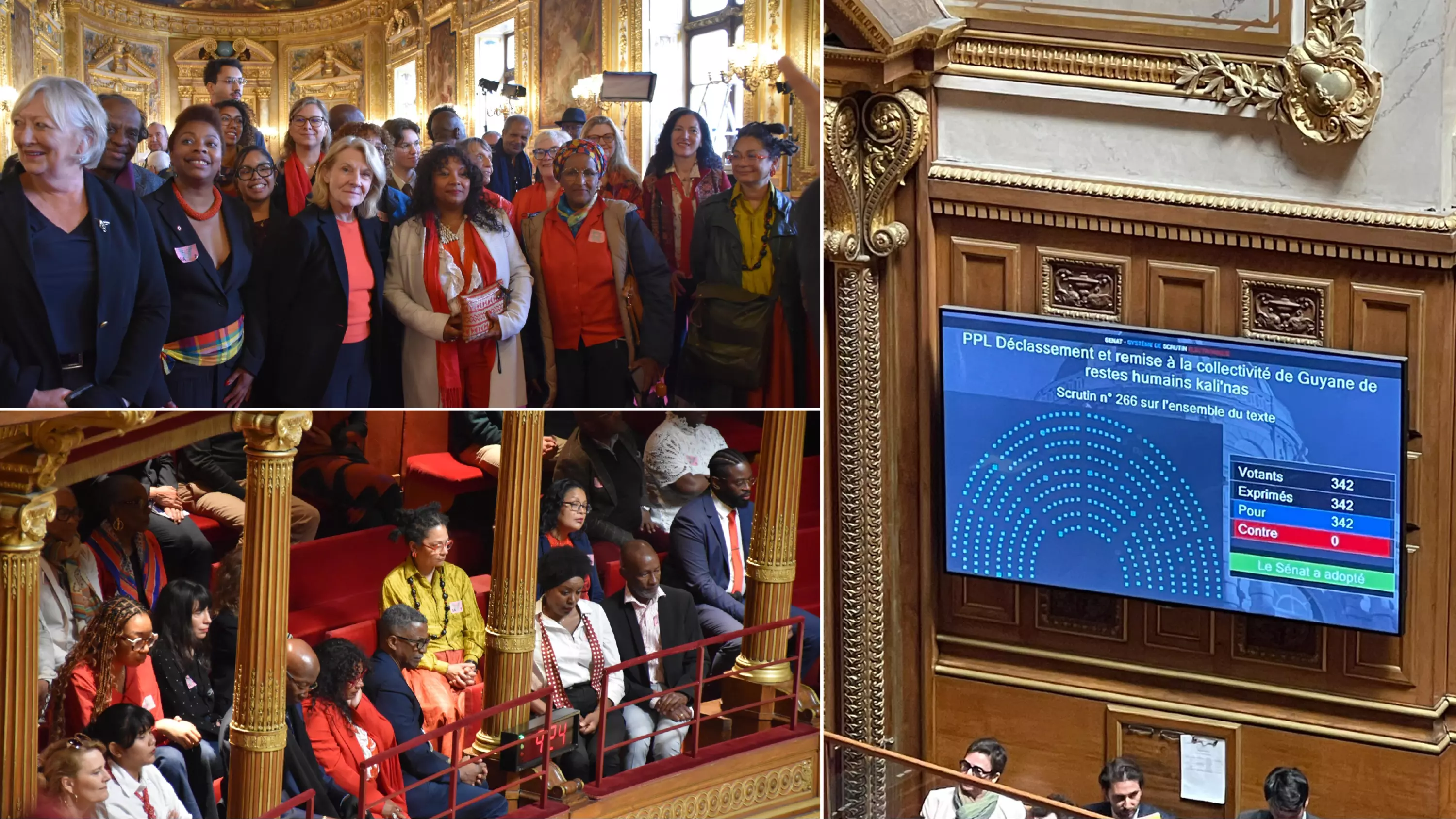 Le Sénat adopte à l'unanimité la restitution de dépouilles d'Amérindiens à la Guyane, 130 ans après leur mort dans des « zoos humains »