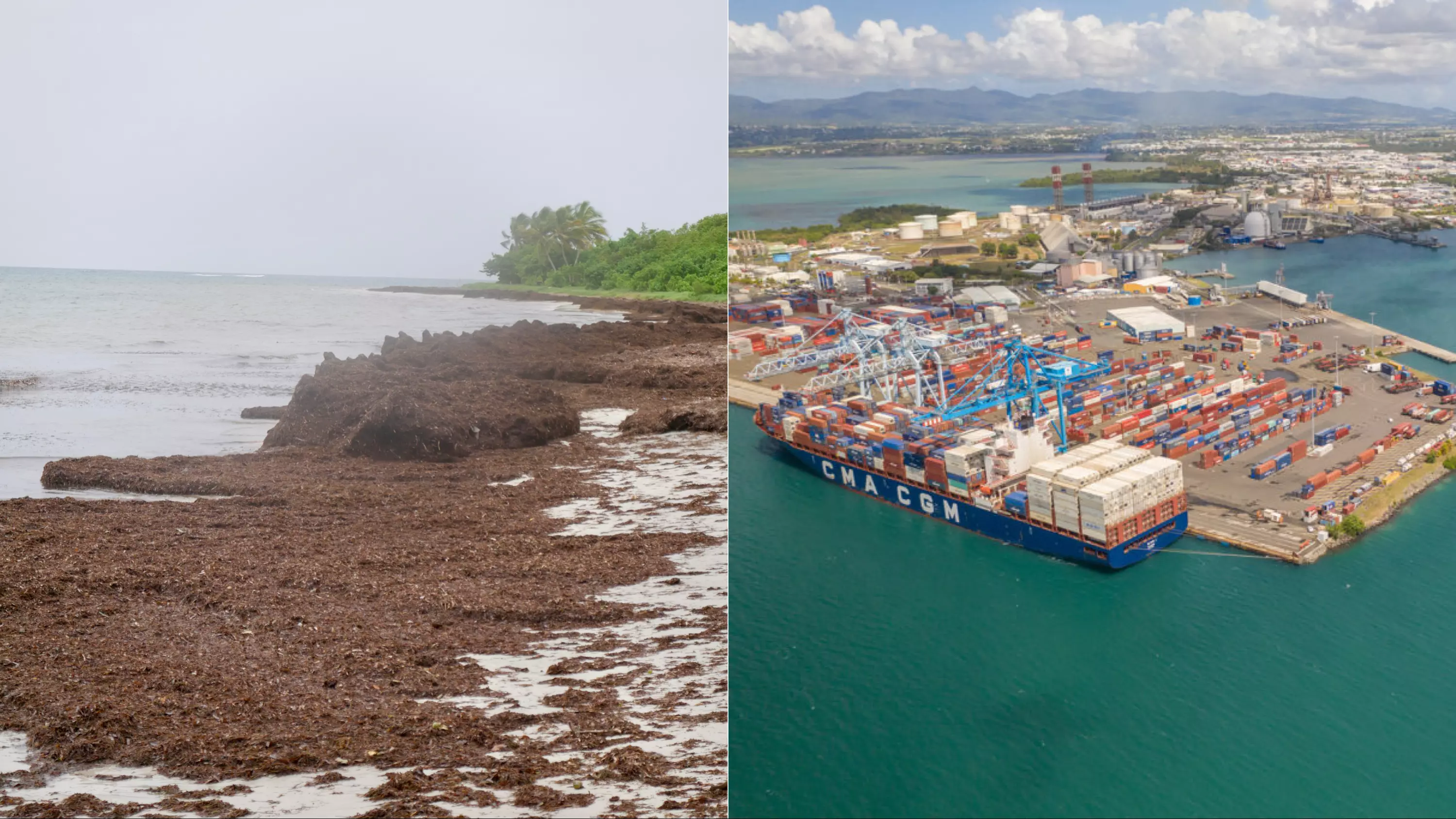 Des délégations de députés européens aux Antilles pour évaluer l’impact des sargasses, des taxes portuaires et du marché unique dans les RUP