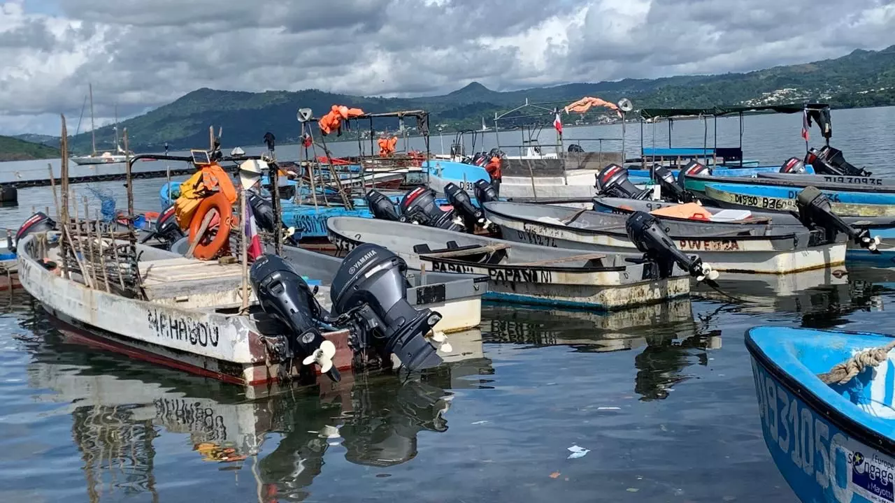 Mayotte : Une filière pêche en quête de structuration