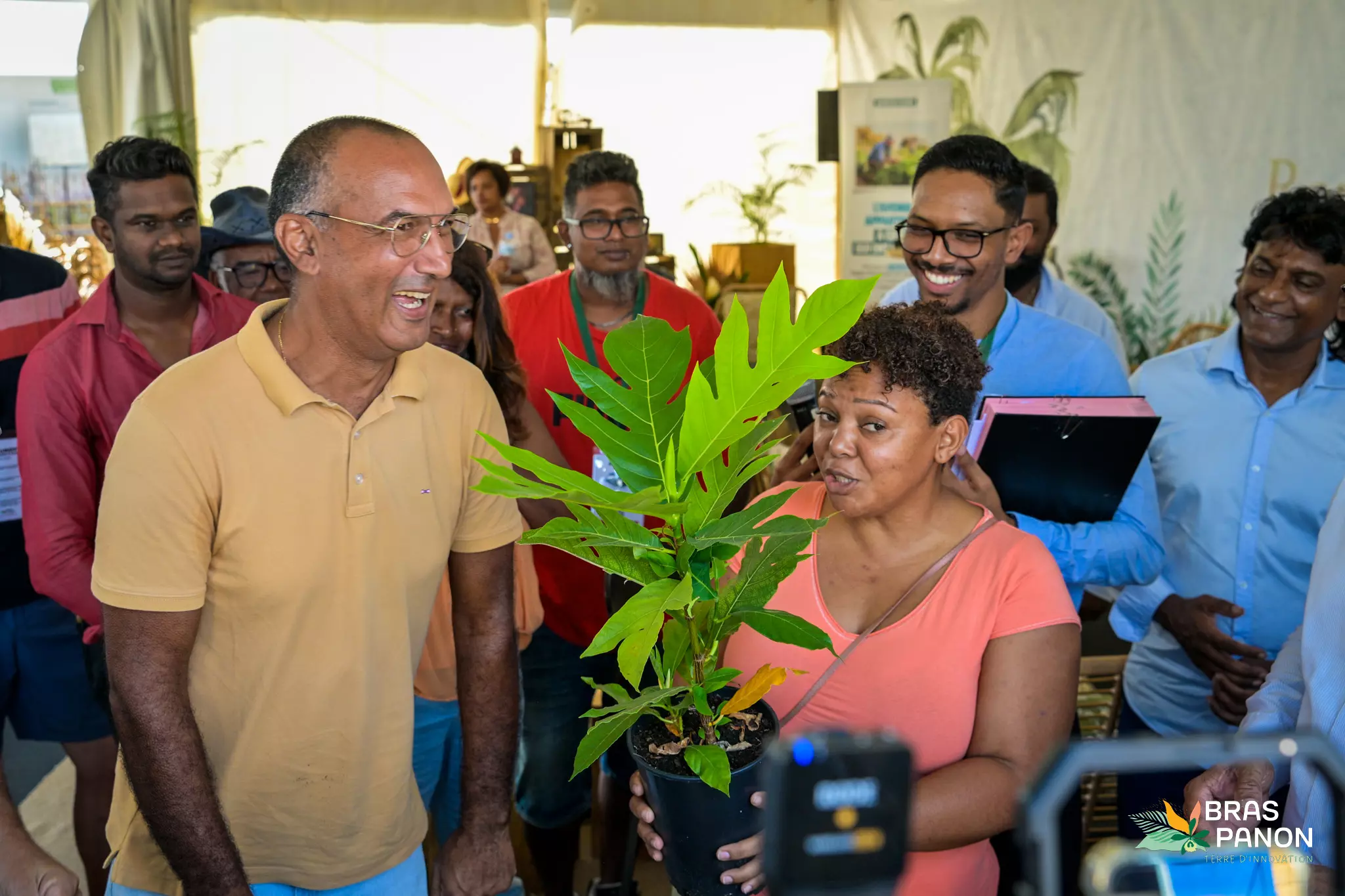 La Réunion&nbsp;: Bras-Panon accélère le développement de la filière fruit à pain pour le territoire