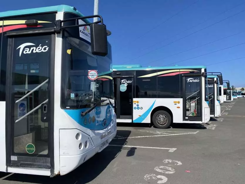 Provinciales en Nouvelle-Calédonie : les bus Tanéo circuleront exceptionnellement le dimanche 28 juin