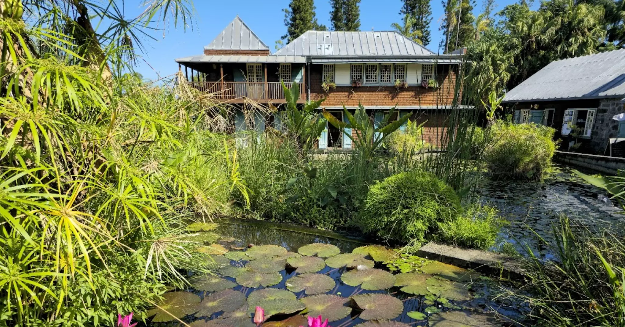 La Réunion&nbsp;: Le label « Jardin Remarquable » renouvelé pour sept ans pour le jardin botanique Mascarin