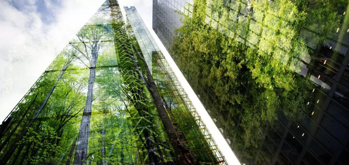 Programme « Adapt Bâti Confort » : neuf experts ultramarins retenus pour accompagner l’Hexagone dans l'adaptation des bâtiments aux fortes chaleurs