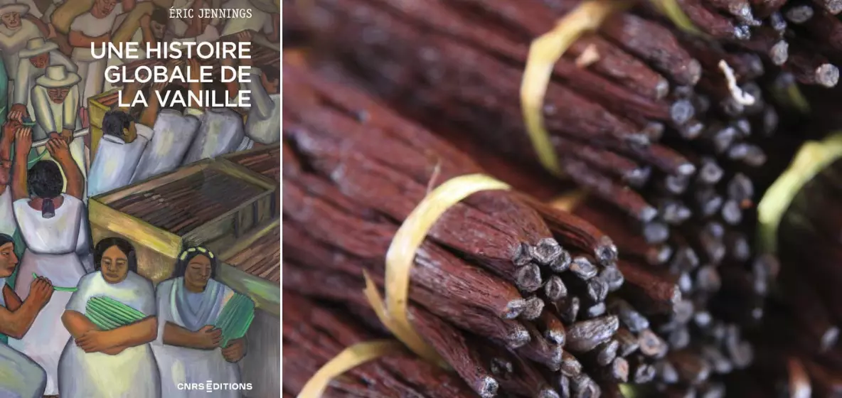 «&nbsp;Une histoire globale de la vanille&nbsp;» ou quand l’historien Eric Jennings fait se rencontrer la petite histoire de cette épice incontournable de notre alimentation avec la grande histoire du monde