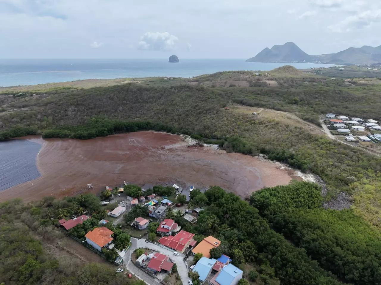 Sargasses aux Antilles : l'ANEL et Interco'Outre-mer dénoncent une réponse de l'Etat « peu » efficace