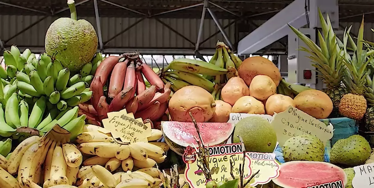 Martinique : les organisations de producteurs peuvent jouer un rôle essentiel pour le développement agricole de l’île, d’après le Cirad